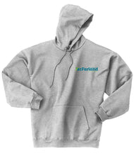 V of McF - Hanes Ultimate Cotton Hoodie (2 color options!)
