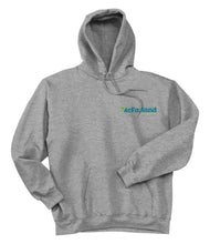 V of McF - Hanes Ultimate Cotton Hoodie (2 color options!)