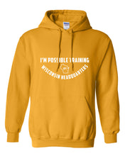 IPT - Gildan Hooded Sweatshirt (WI HQ Logo / 5 color options!)